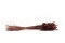 Dried Lagurus Ovatus Terracotta 5