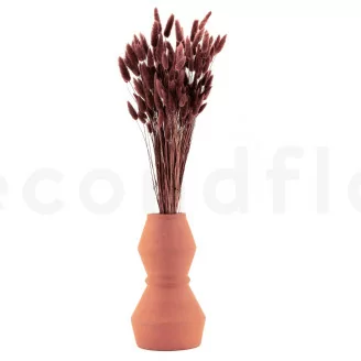 Lagurus Ovatus seco Terracotta