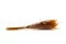 Fine grass essiccata Marmalade 9