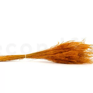 Fine grass essiccata Marmalade