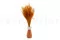 Fine grass essiccata Marmalade 2