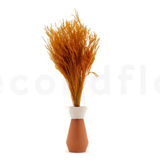Fine Grass s&eacute;ch&eacute; Marmalade