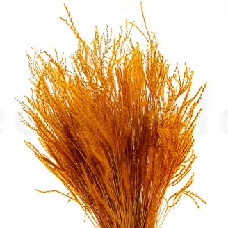Getrocknetes Fine Grass Marmalade