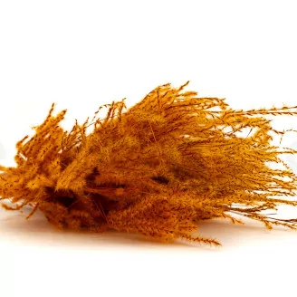 Dried Fine grass Marmalade