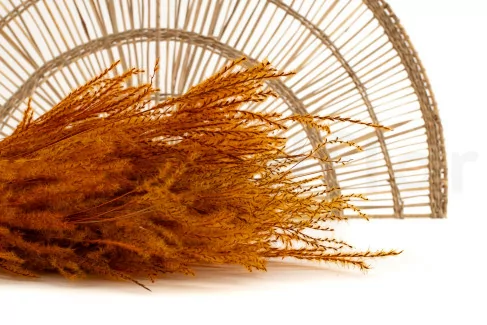 Fine grass essiccata Marmalade