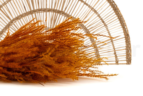Fine grass s&eacute;ch&eacute;e - Bouquet - Marmalade