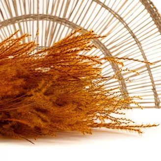 Fine grass seco Marmalade