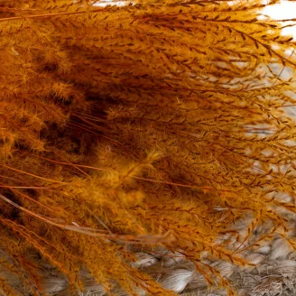 Dried Fine grass Marmalade