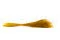 Dried Fine grass Honey Yellow 5