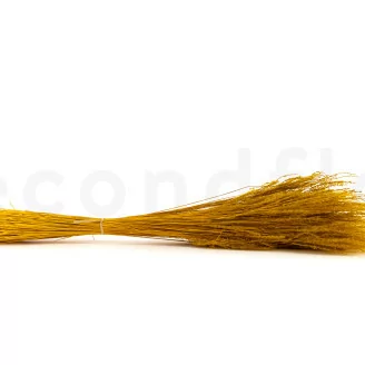 Dried Fine grass Honey Yellow