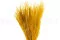 Fine grass seco Honey Yellow 6