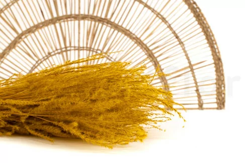 Fine grass seco - Ramo - Honey Yellow