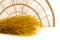Fine grass essiccata Honey Yellow 1