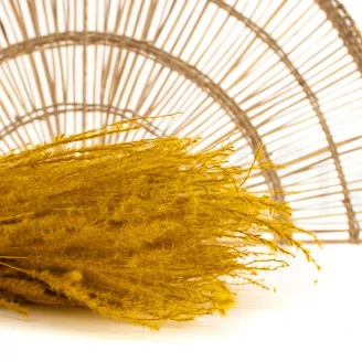 Fine grass essiccata Honey Yellow