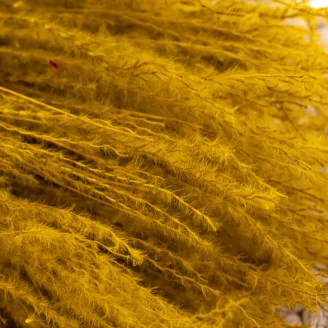 Fine grass seco Honey Yellow