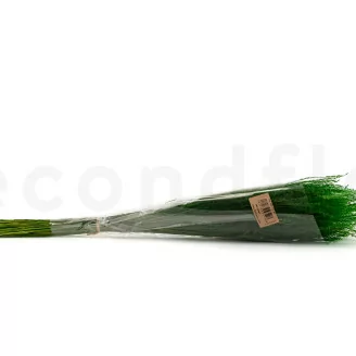 Fine grass seco Eden Green