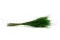 Dried Fine grass Eden Green 5