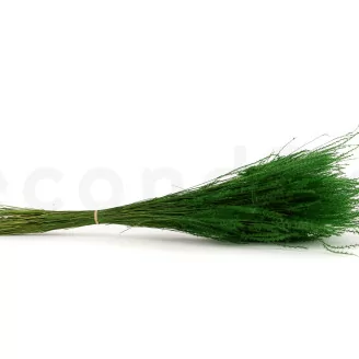 Fine grass seco Eden Green