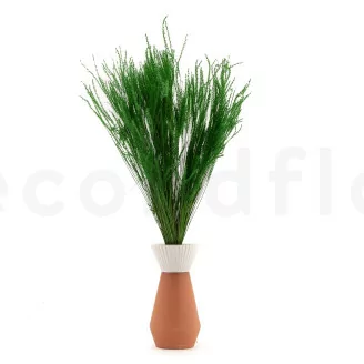 Getrocknetes Fine Grass Eden Green
