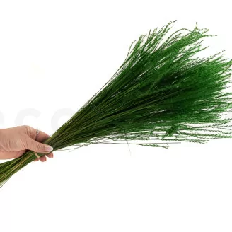 Fine grass seco Eden Green