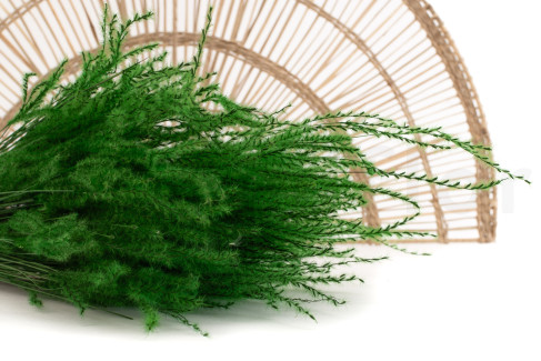 Fine grass s&eacute;ch&eacute;e - Bouquet - Eden Green