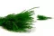 Fine grass seco Eden Green 8