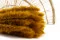 Mini pampa essiccata Honey Yellow (x20) 1