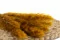 Mini Pampa seca Honey Yellow (x20) 3