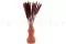 Dried Mini Pampa Terracotta (x20) 2