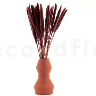 Mini Pampa seca Terracotta (x20)