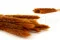 Mini Pampa seca Marmalade (x20) 8