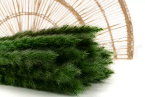 Dried Mini Pampa Eden Green (x20)
