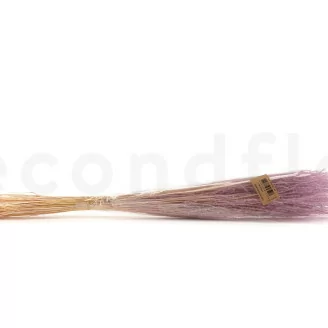 Fine grass seco Lavender Lane