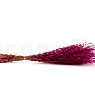 Dried Fine grass Raspberry