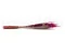 Dried Fine grass Raspberry 9