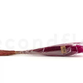 Getrocknetes Fine Grass Raspberry