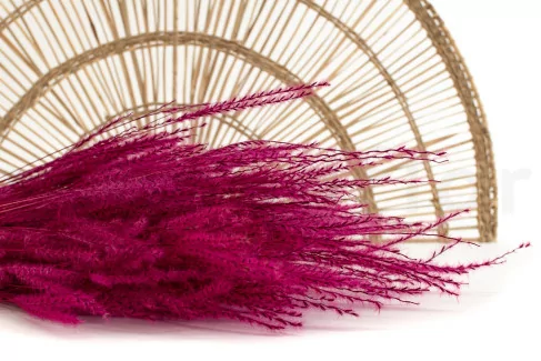 Getrocknetes Fine Grass Raspberry