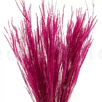 Dried Fine grass Raspberry