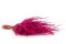 Getrocknetes Fine Grass Raspberry 8