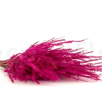Dried Fine grass Raspberry