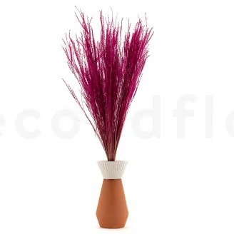 Fine grass seco Raspberry