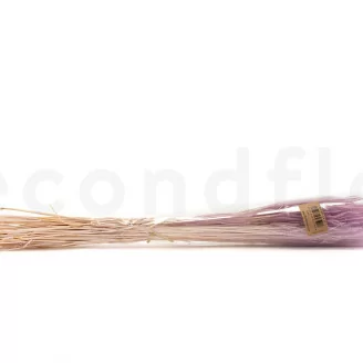 Ouro essiccato Lavender Lane