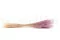 Dried Ouro Lavender Lane 5