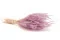 Ouro seco Lavender Lane 6