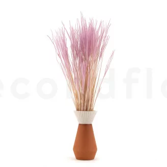 Dried Ouro Lavender Lane