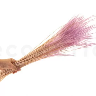 Ouro seco Lavender Lane
