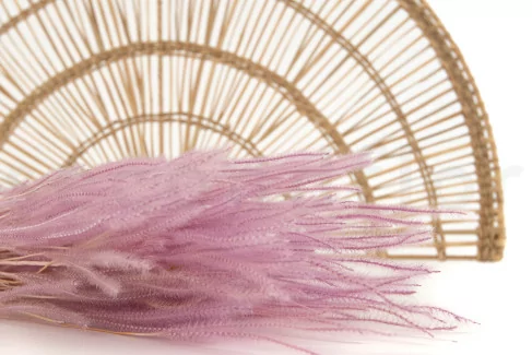 Ouro seco Lavender Lane