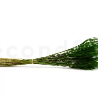 Dried Ouro Eden Green