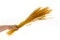 Ouro seco Honey Yellow 4