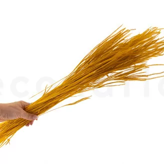 Dried Ouro Honey Yellow